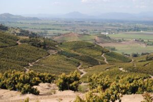 Asociatividad: el sello del PTI AgroTerritorio en el Secano Costero de O´Higgins