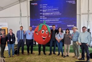 Quillota retomó el Día del Tomate con foco en el futuro de la industria agrícola