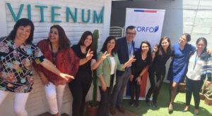 Arica y Parinacota: Mipymes ya pueden postular a devolución del 20% por inversiones
