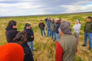 Iniciativa de INIA Kampenaike busca potenciar el peso de los corderos y fortalecer la rentabilidad de los productores locales
